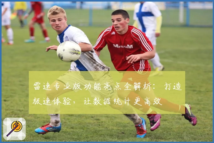 雷速专业版功能亮点全解析：打造极速体验，让数据统计更高效