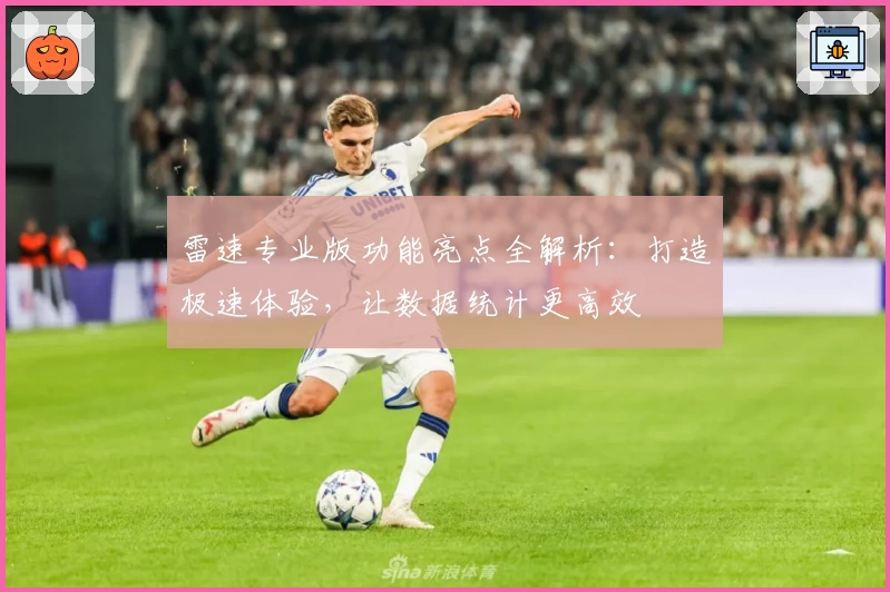 雷速专业版功能亮点全解析：打造极速体验，让数据统计更高效