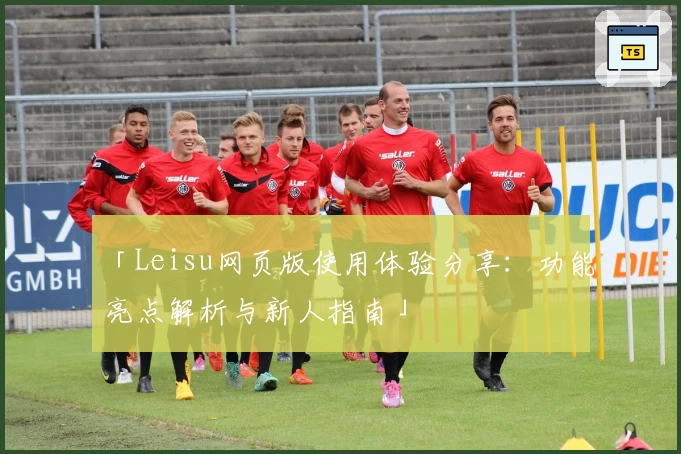 「Leisu网页版使用体验分享：功能亮点解析与新人指南」
