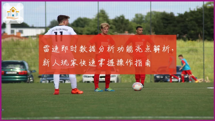 雷速即时数据分析功能亮点解析，新人玩家快速掌握操作指南